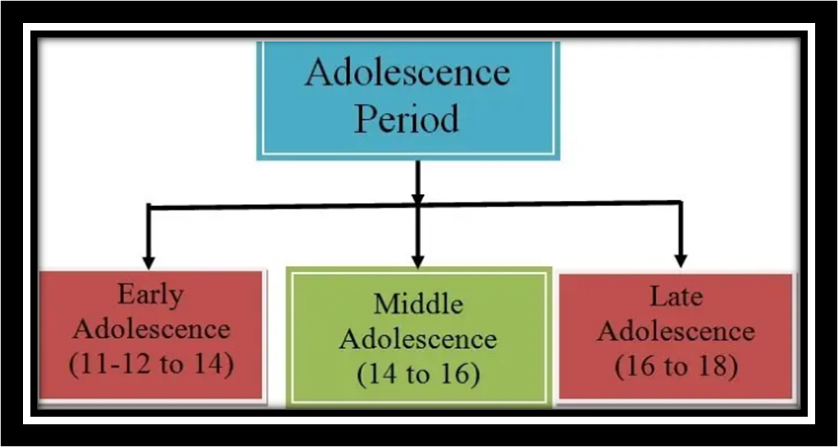 Adolescence Period